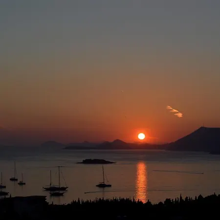 Casa de hóspedes Mimoza