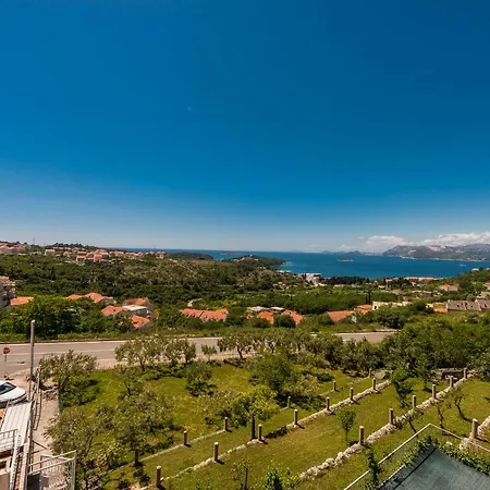 Mimoza 3*