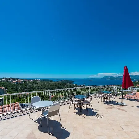 Mimoza 3*